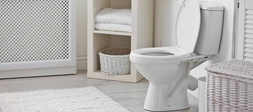 Do I Need a High Power Flush Toilet