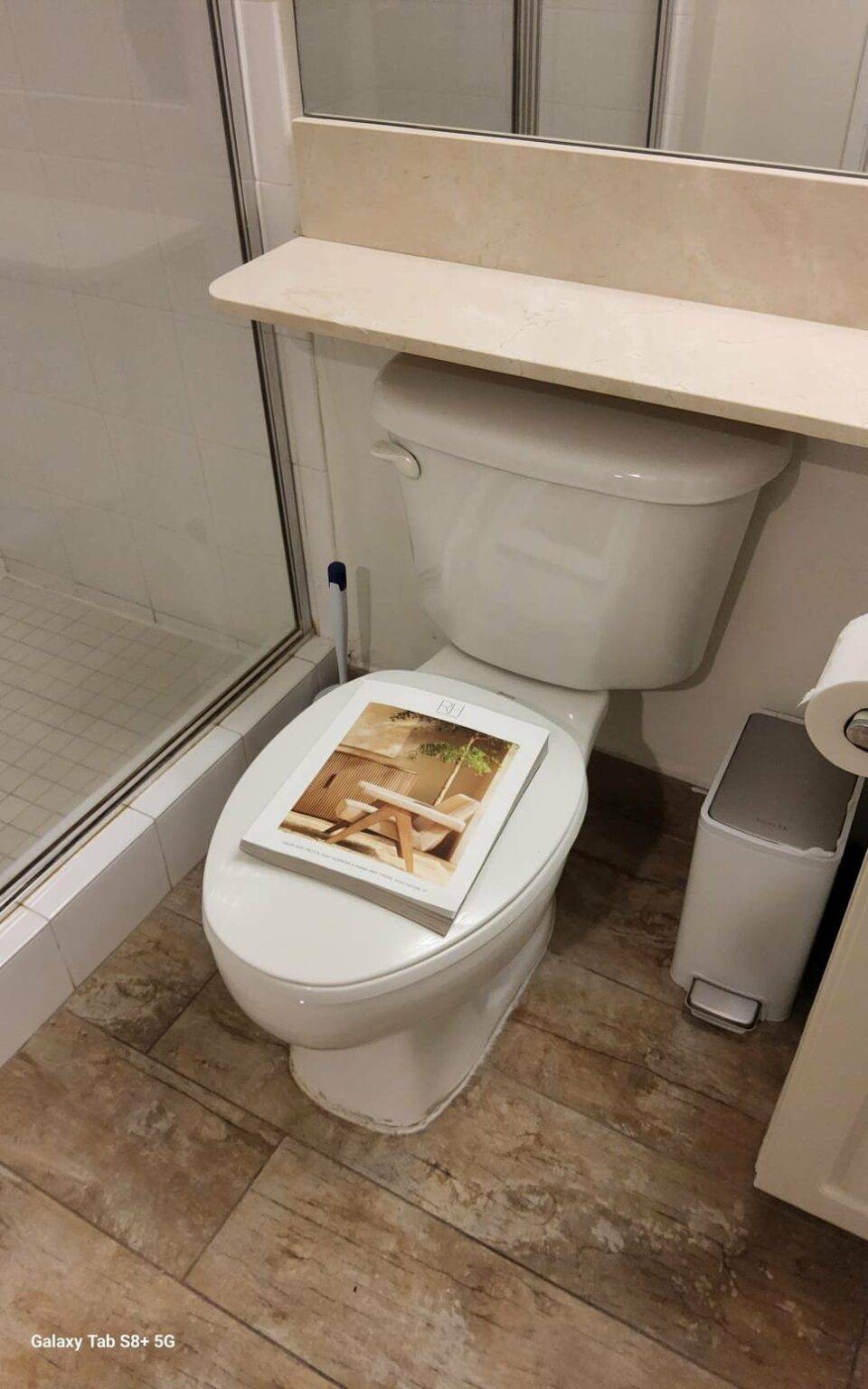 What Causes Ghost Flushing? Causes, Fixes, and Prevention Flamingo